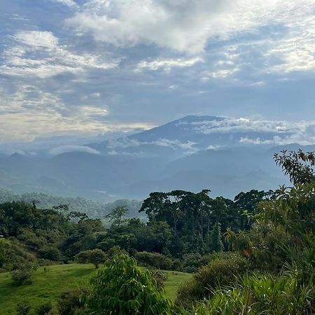 Siquirres Mountain Lodge Siqurres Da Alegria Bagian luar foto