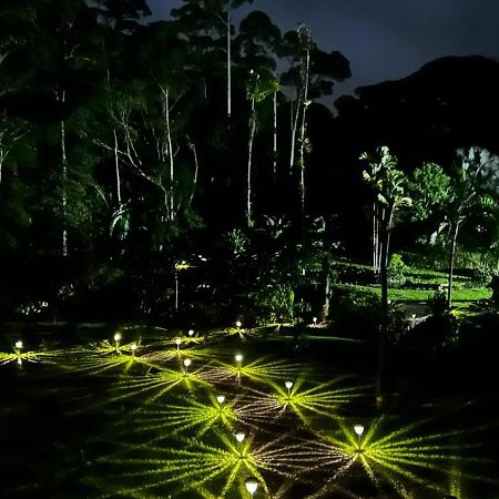 Siquirres Mountain Lodge Siqurres Da Alegria Bagian luar foto