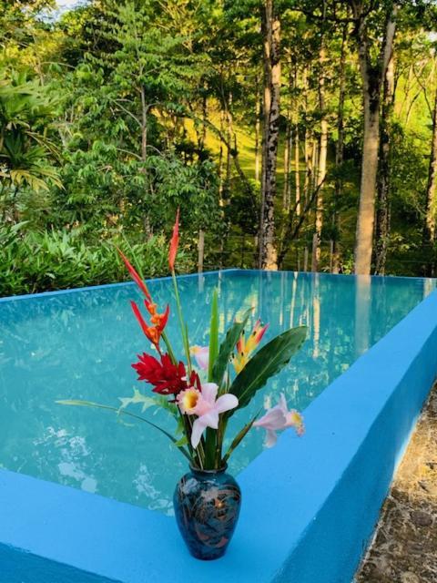 Siquirres Mountain Lodge Siqurres Da Alegria Bagian luar foto