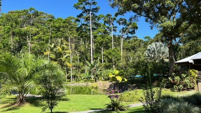 Siquirres Mountain Lodge Siqurres Da Alegria Bagian luar foto