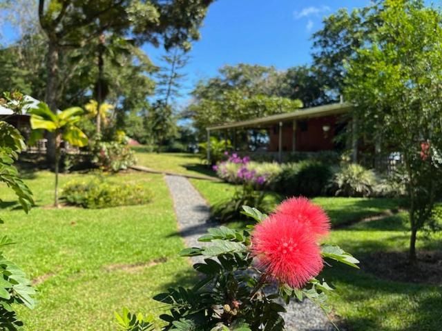 Siquirres Mountain Lodge Siqurres Da Alegria Bagian luar foto
