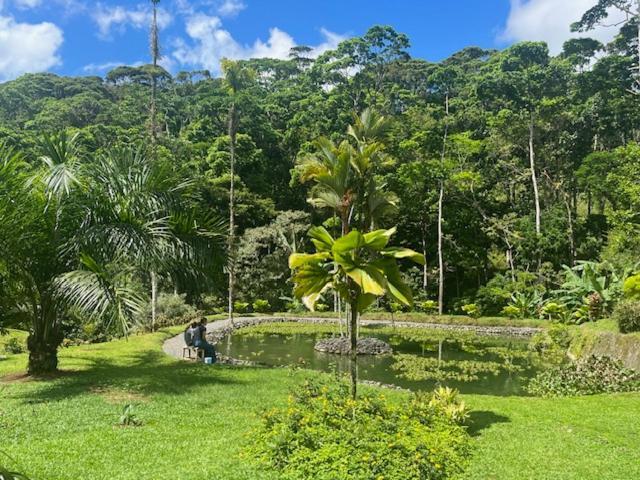 Siquirres Mountain Lodge Siqurres Da Alegria Bagian luar foto